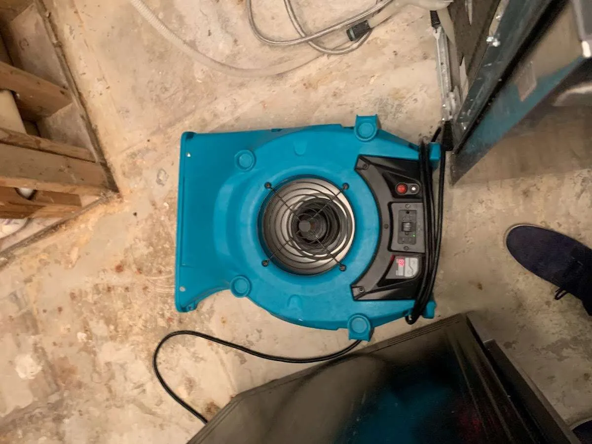 Air mover drying equipment for Mold Remediation & Removal in Oak Hills